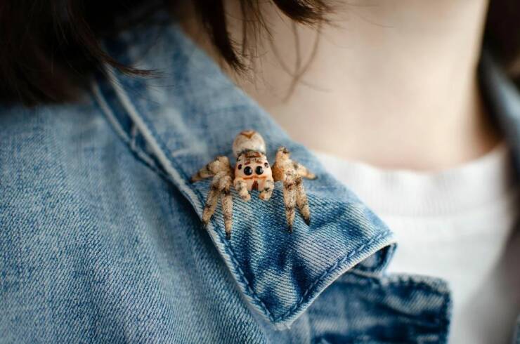 Daily Picdump [WEEKEND EDITION]
