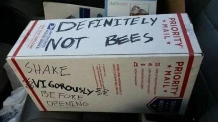Daily Picdump [WEEKEND EDITION]