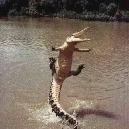 Daily Picdump [WEEKEND EDITION]