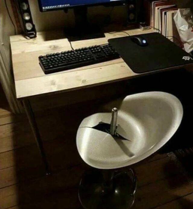 Daily Picdump [WEEKEND EDITION]