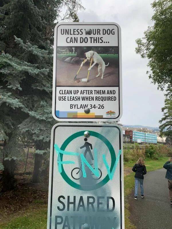 Daily Picdump [WEEKEND EDITION]