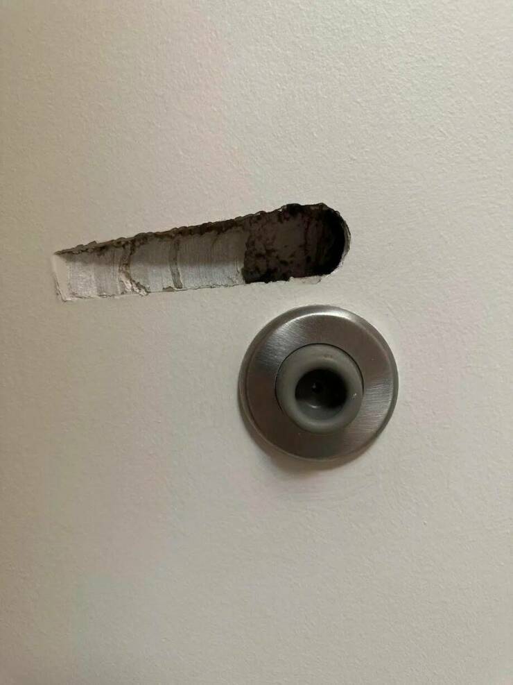 Daily Picdump [WEEKEND EDITION]