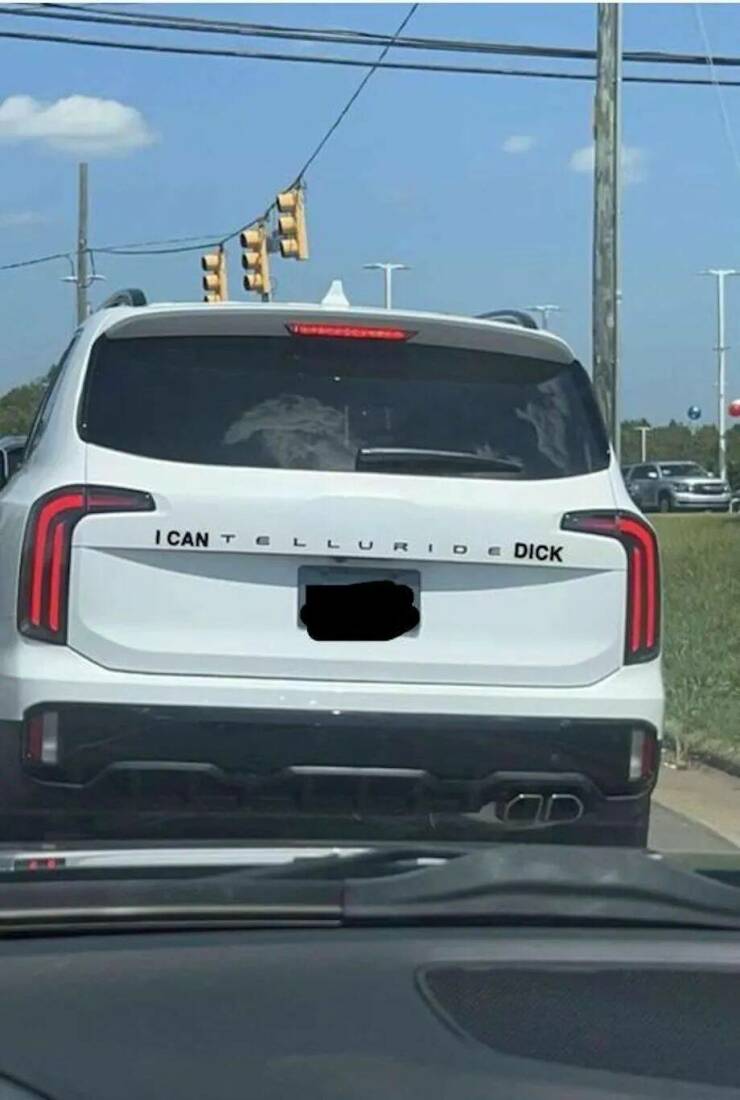 Daily Picdump [WEEKEND EDITION]