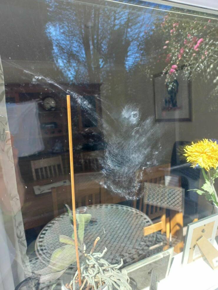 Daily Picdump [WEEKEND EDITION]