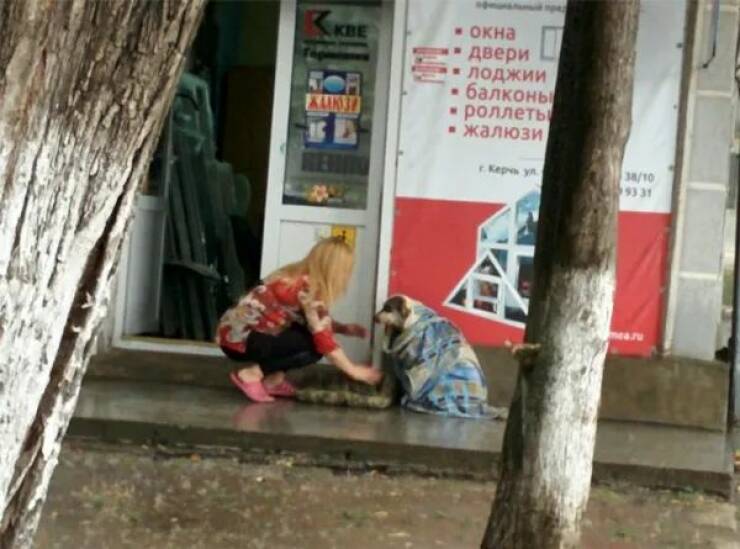 Feel-Good Memes And Pics To Lift Your Spirits Feel-Good Memes And Pics To Lift Your Spirits