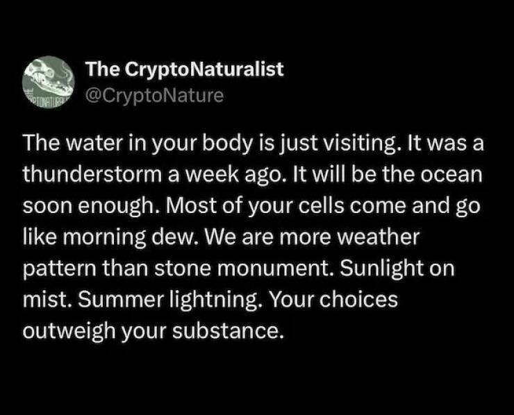 Feel-Good Memes And Pics To Lift Your Spirits Feel-Good Memes And Pics To Lift Your Spirits