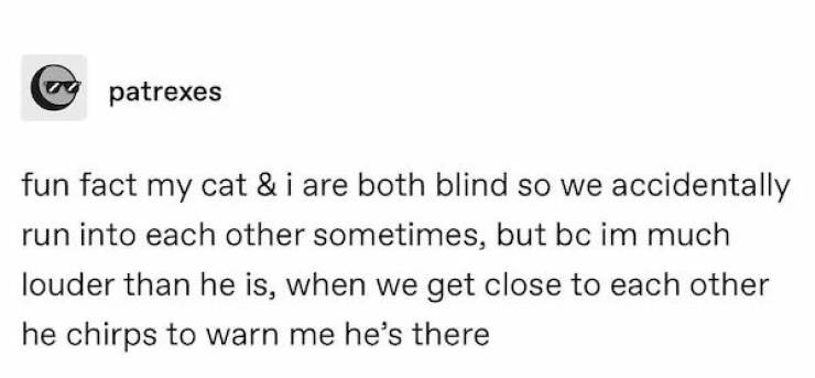 Feel-Good Memes And Pics To Lift Your Spirits Feel-Good Memes And Pics To Lift Your Spirits