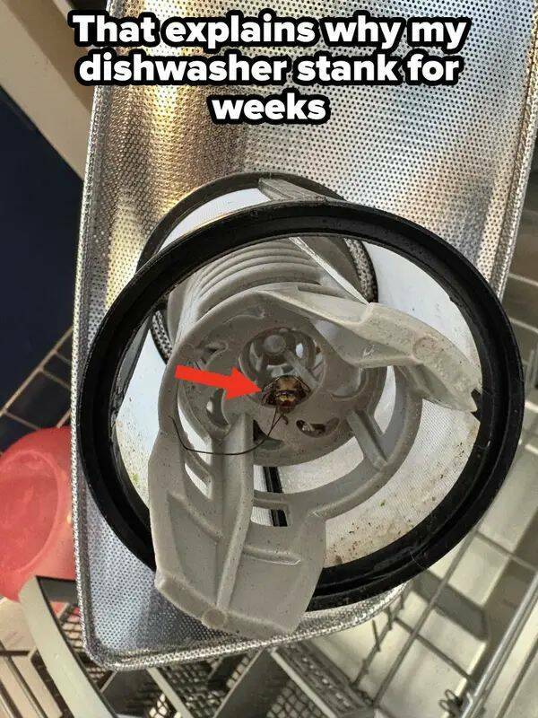 One Bad Decision Away From Chaos One Bad Decision Away From Chaos