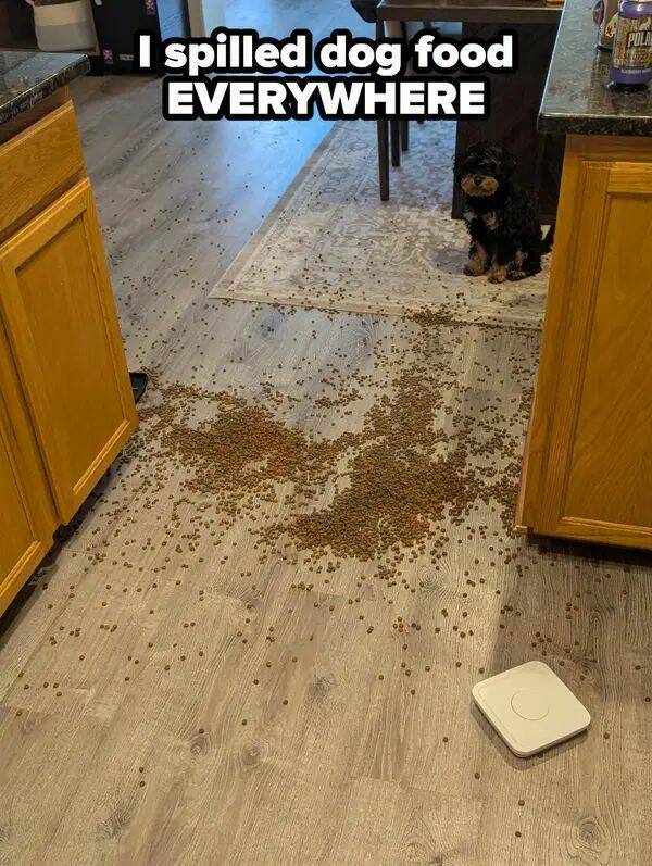 One Bad Decision Away From Chaos One Bad Decision Away From Chaos