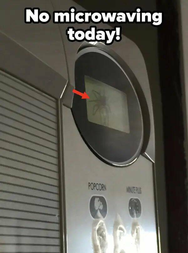 One Bad Decision Away From Chaos One Bad Decision Away From Chaos