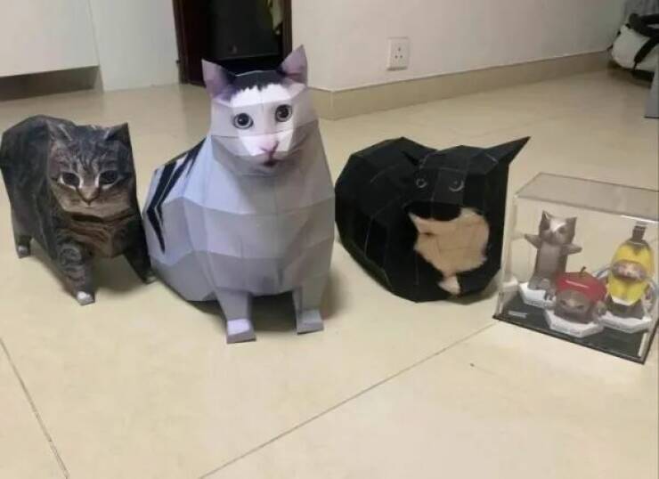 Purrfectly Hilarious Cat Memes And Photos