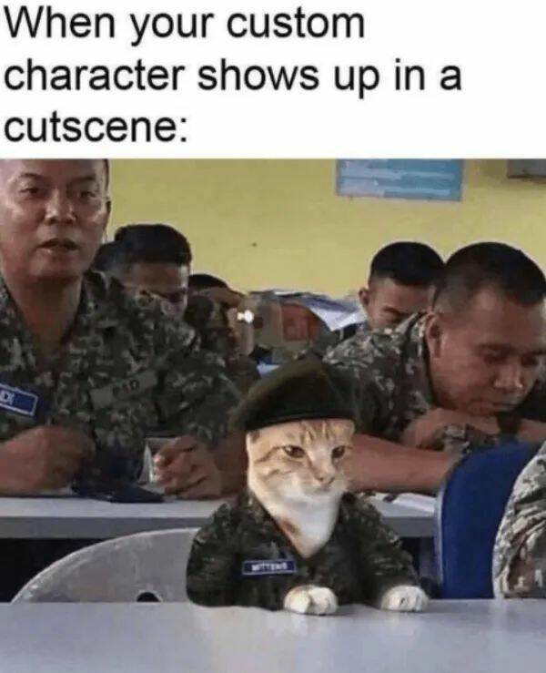 Purrfectly Hilarious Cat Memes And Photos