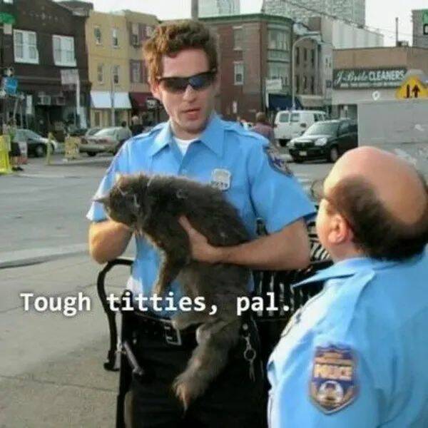 Truth Is Overrated Anyway