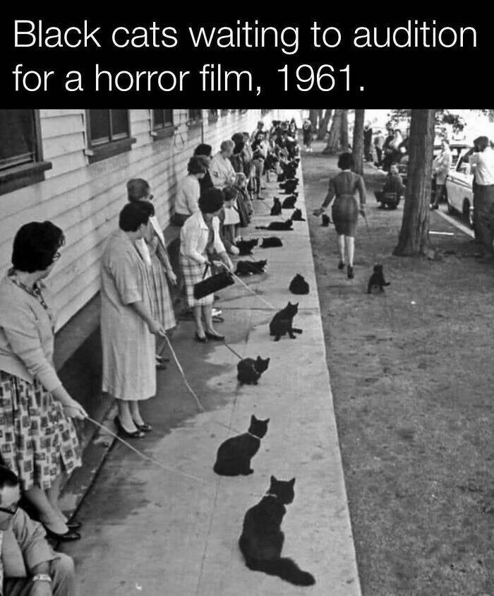 Fascinating History Moments Captured On Camera