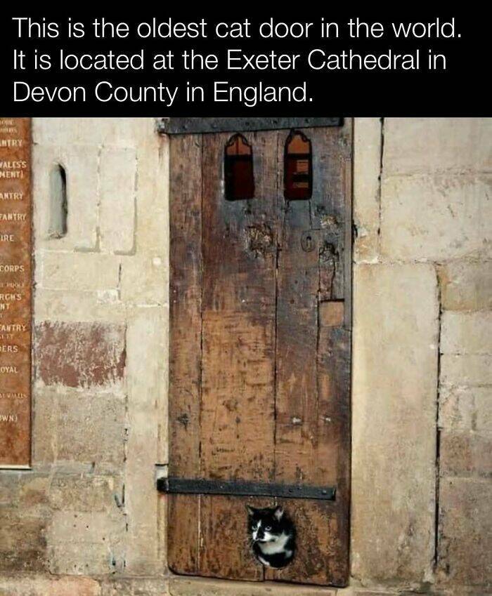 Fascinating History Moments Captured On Camera