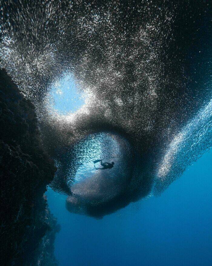 Mysterious Ocean Moments That Shocked Everyone