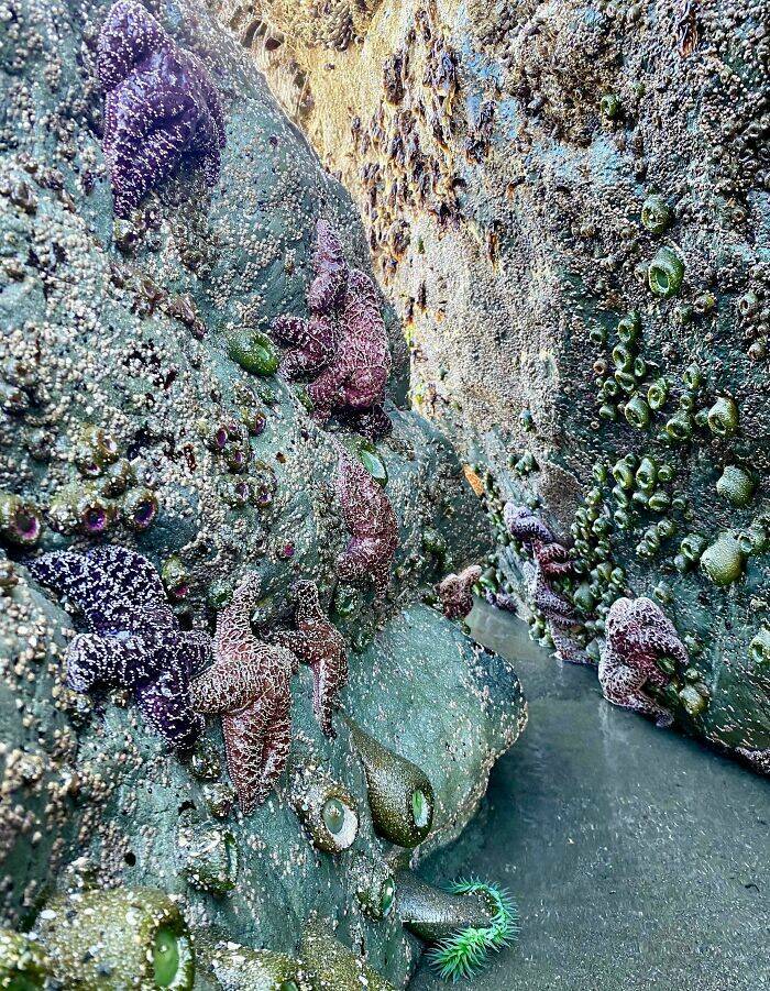 Mysterious Ocean Moments That Shocked Everyone