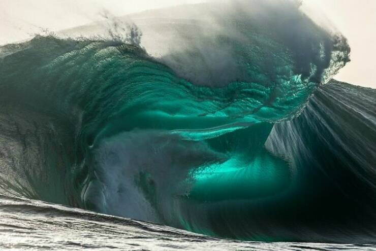 Mysterious Ocean Moments That Shocked Everyone