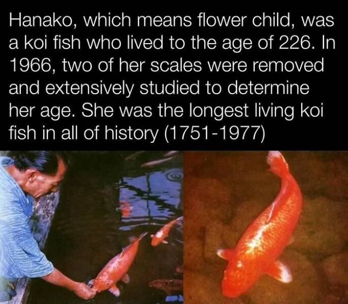 Fascinating History Moments Captured On Camera