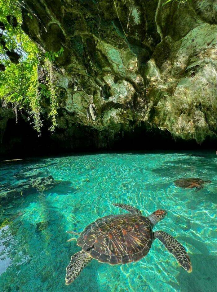 Mysterious Ocean Moments That Shocked Everyone