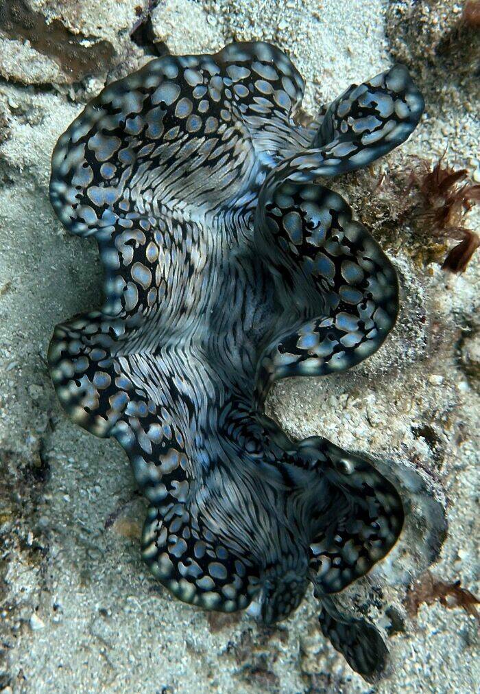 Mysterious Ocean Moments That Shocked Everyone