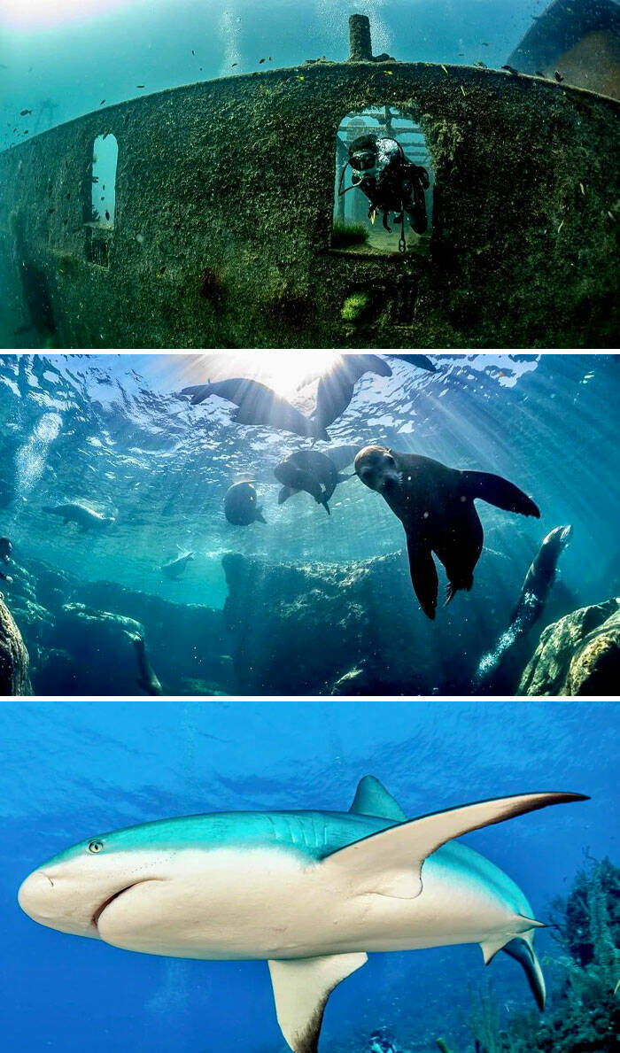 Mysterious Ocean Moments That Shocked Everyone