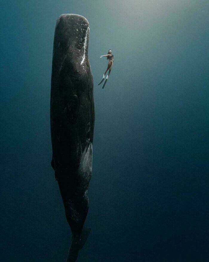 Mysterious Ocean Moments That Shocked Everyone