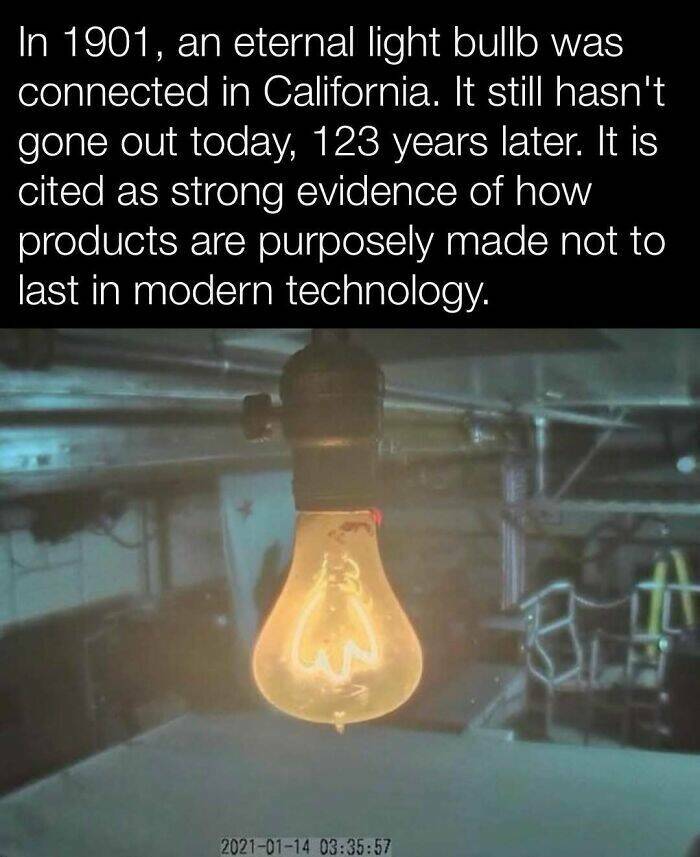 Fascinating History Moments Captured On Camera