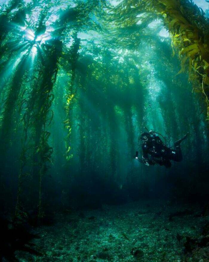 Mysterious Ocean Moments That Shocked Everyone