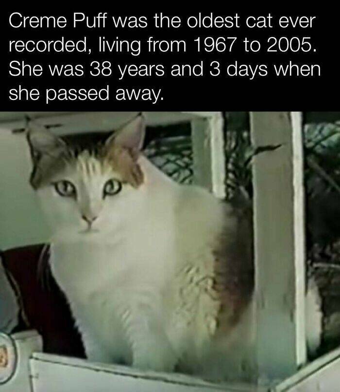 Fascinating History Moments Captured On Camera