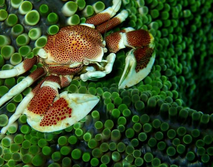 Mysterious Ocean Moments That Shocked Everyone