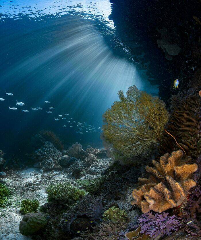 Mysterious Ocean Moments That Shocked Everyone