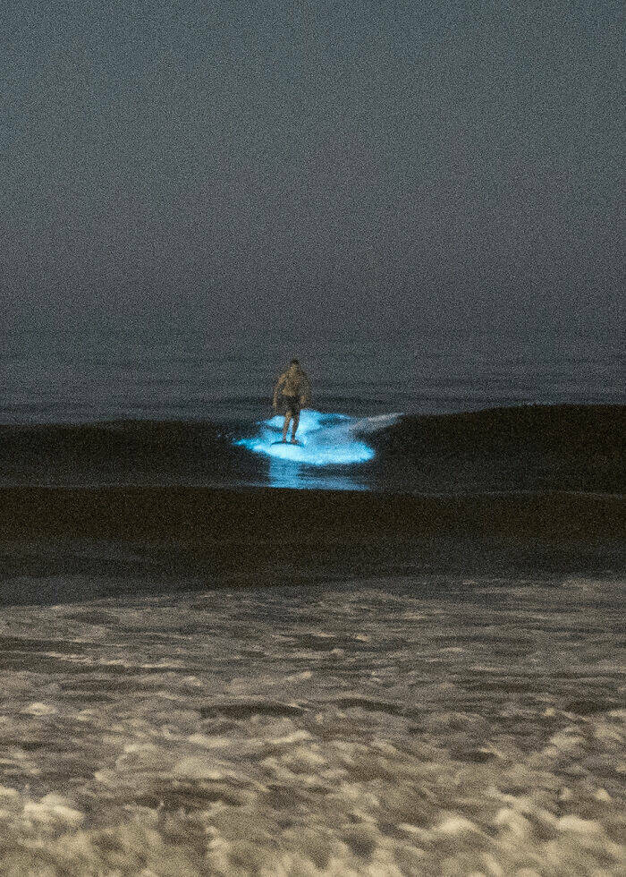 Mysterious Ocean Moments That Shocked Everyone