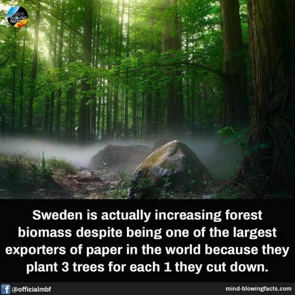 Bet You Didn’t Know These Crazy Facts Until Now