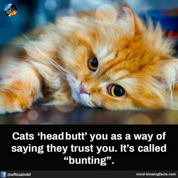 Bet You Didn’t Know These Crazy Facts Until Now