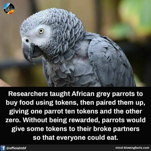 Bet You Didn’t Know These Crazy Facts Until Now