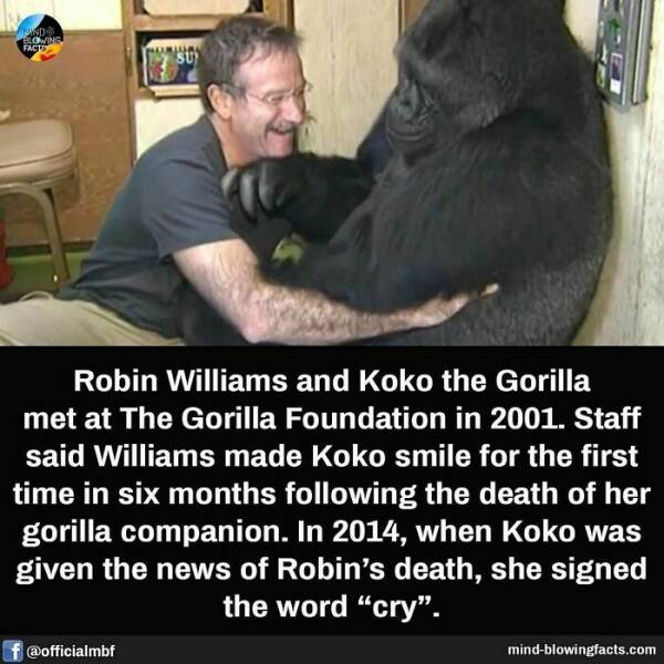 Bet You Didn’t Know These Crazy Facts Until Now