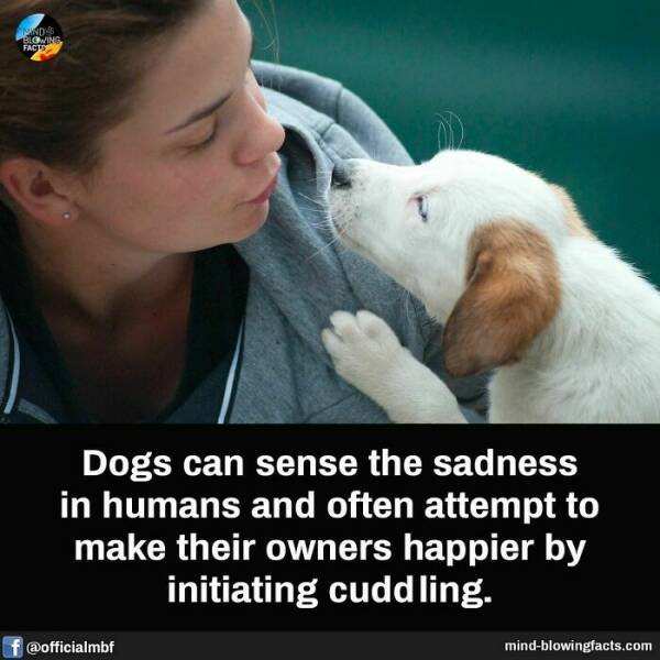 Bet You Didn’t Know These Crazy Facts Until Now