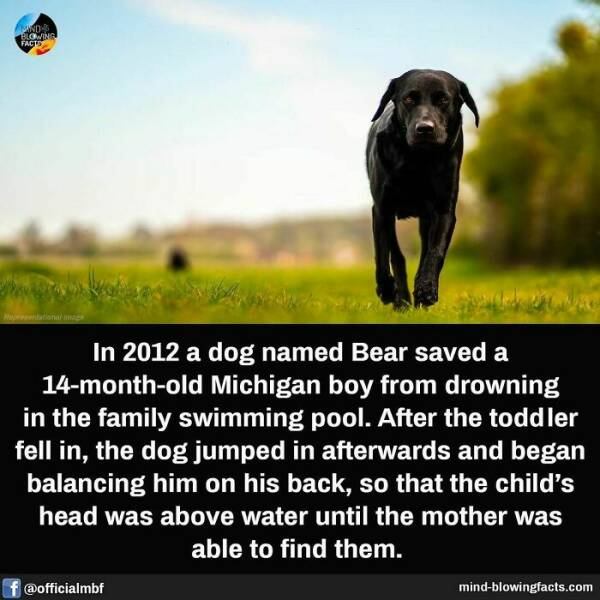 Bet You Didn’t Know These Crazy Facts Until Now