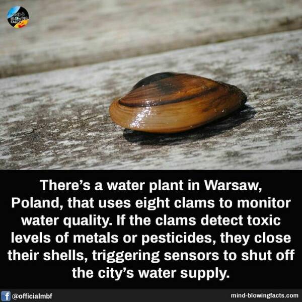 Bet You Didn’t Know These Crazy Facts Until Now