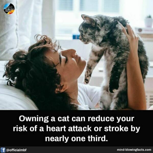 Bet You Didn’t Know These Crazy Facts Until Now