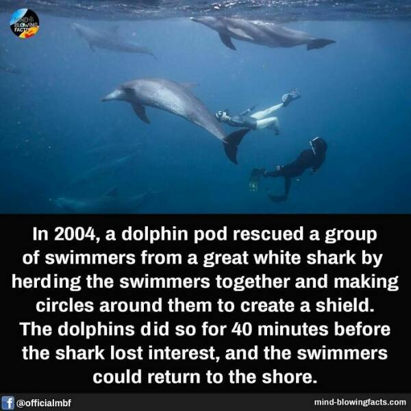 Bet You Didn’t Know These Crazy Facts Until Now