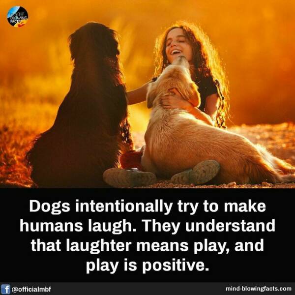 Bet You Didn’t Know These Crazy Facts Until Now