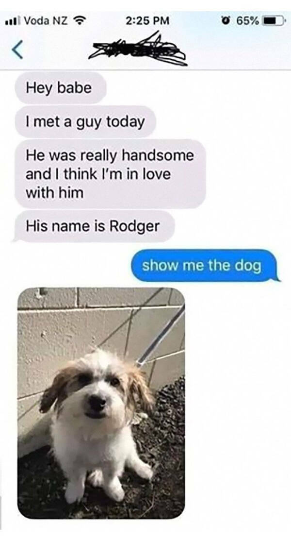 Single, Taken, Emotionally Attached to Memes Single, Taken, Emotionally Attached to Memes