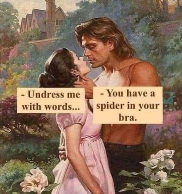 Single, Taken, Emotionally Attached to Memes Single, Taken, Emotionally Attached to Memes