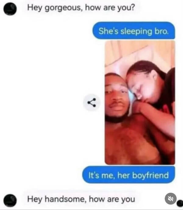 Single, Taken, Emotionally Attached to Memes Single, Taken, Emotionally Attached to Memes