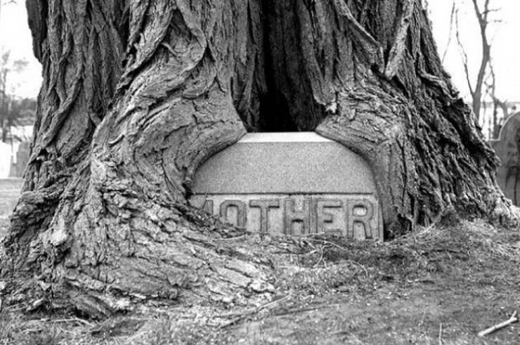 When Time Leaves Its Mark