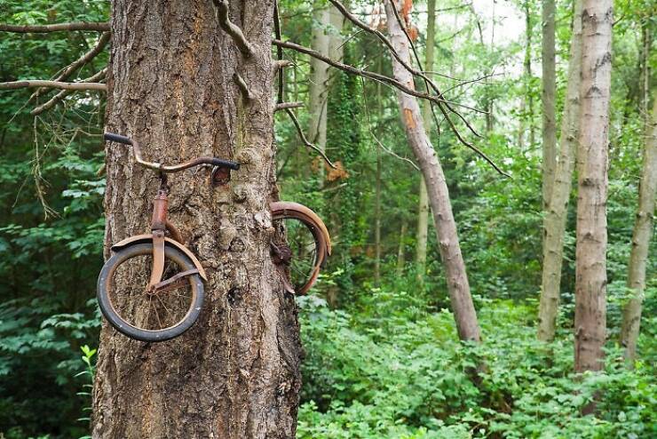 When Time Leaves Its Mark