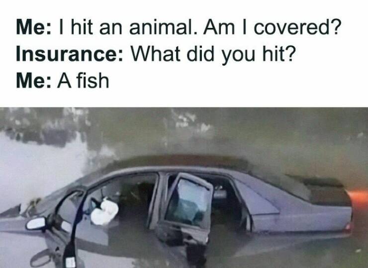 Totally Random Memes For Your Scrolling Needs