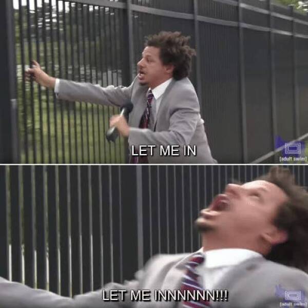 When Cats And Dogs Steal The Comedy Show